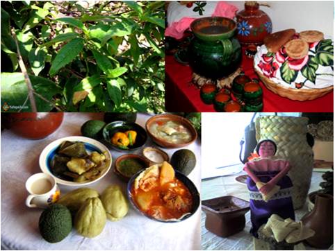 Nurite, aguacate, chayote, chile, atole, corundas, churipo (chile guajillo rojo), artesanía michoacana (5)