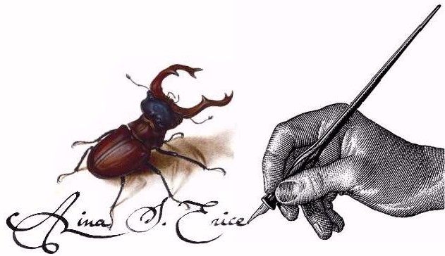 signed-beetle